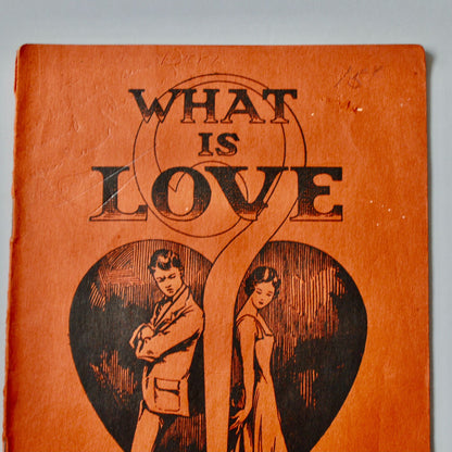 What is Love The Paulist Press Vintage J. Elliot Ross Book