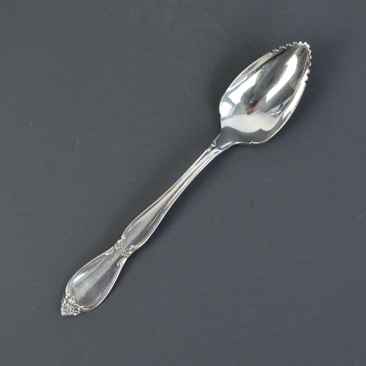 Oneida Chatelaine Community Stainless Fruit Spoon Silver Glossy