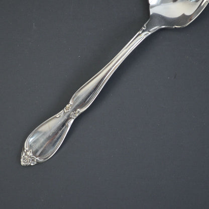Oneida Chatelaine Community Stainless Fruit Spoon Silver Glossy