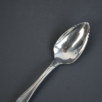 Oneida Chatelaine Community Stainless Fruit Spoon Silver Glossy