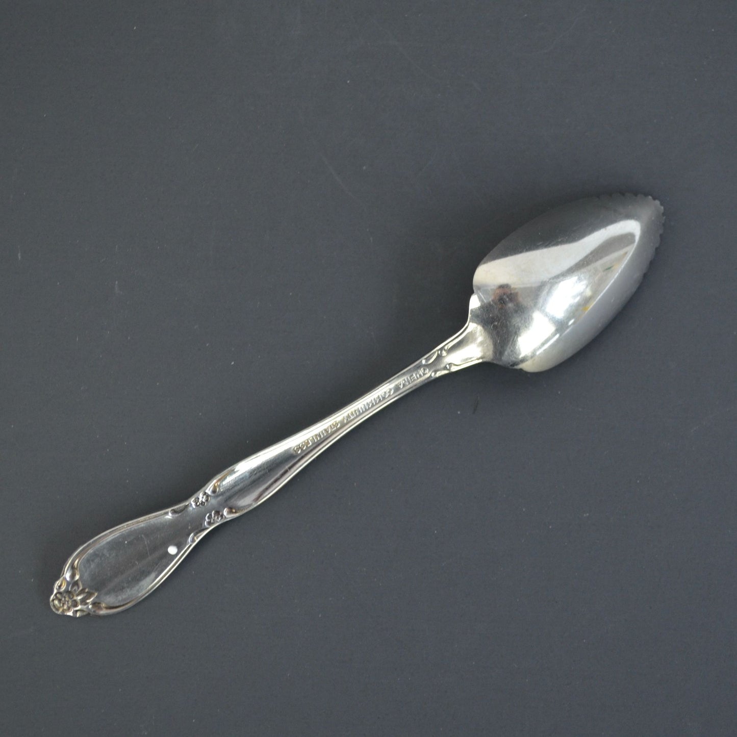 Oneida Chatelaine Community Stainless Fruit Spoon Silver Glossy