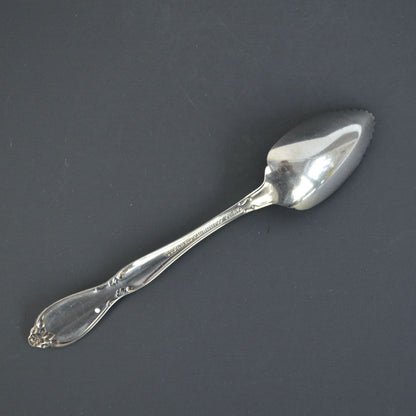 Oneida Chatelaine Community Stainless Fruit Spoon Silver Glossy