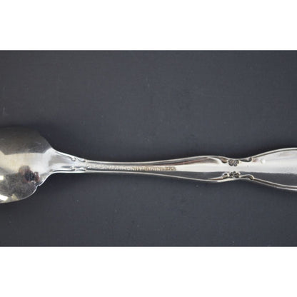 Oneida Chatelaine Community Stainless Fruit Spoon Silver Glossy