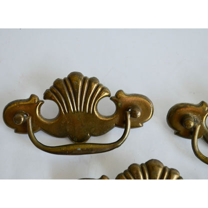 Vintage 3 Brass Drawer Pulls Bat Wing Shell Chippendale 3" Handles
