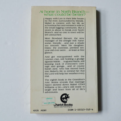 At Home in North Branch Arleta Richardson Book Vintage