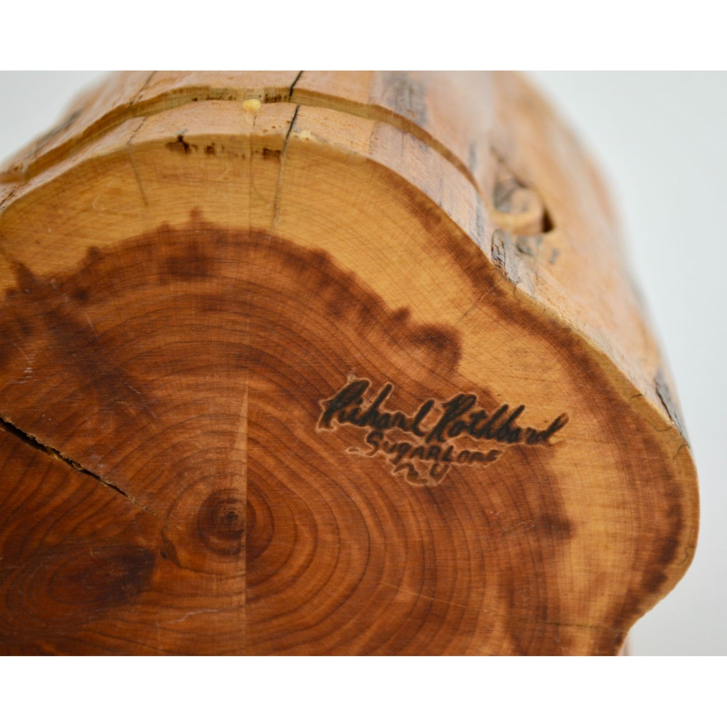Richard Rothbard Natural Tree Wood Desk Organizer