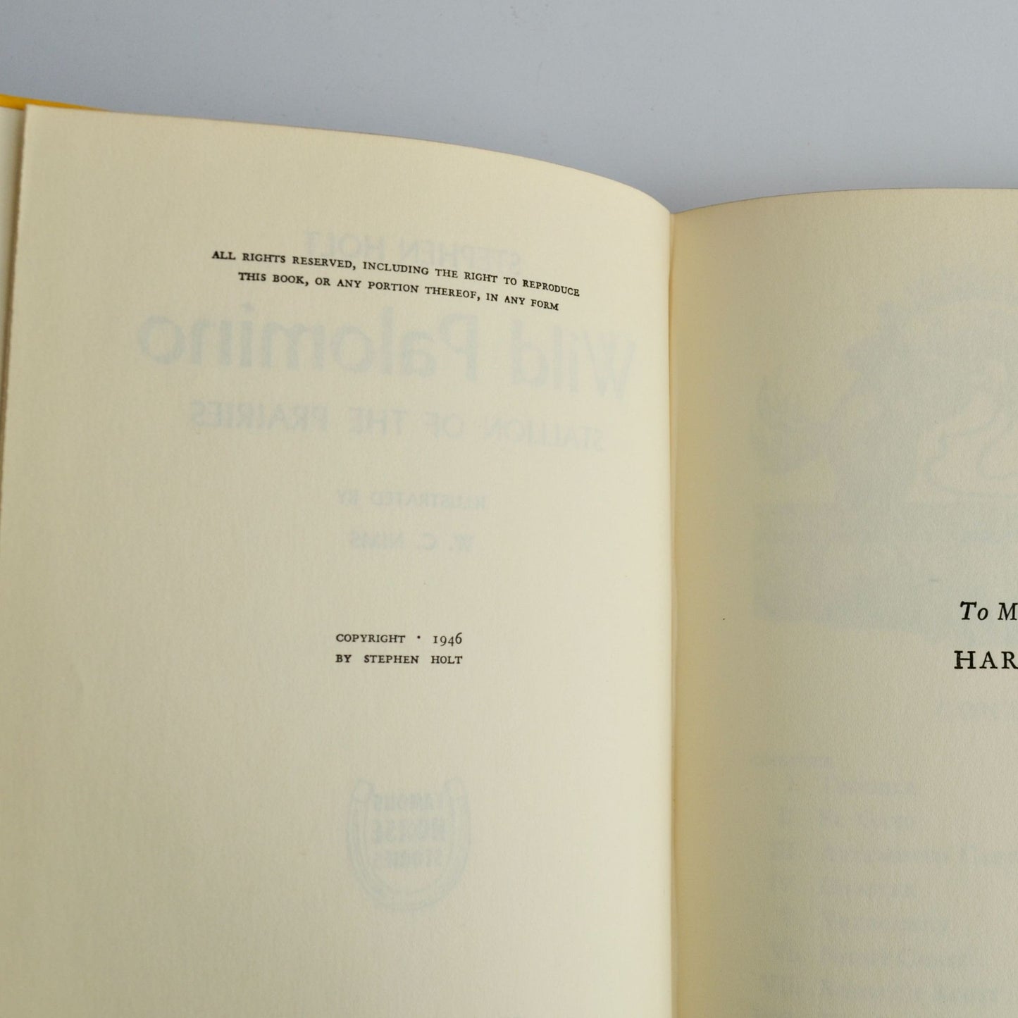 Wild Palomino Stallion of the Prairies Stephen Holt 1946 Vintage HC Book