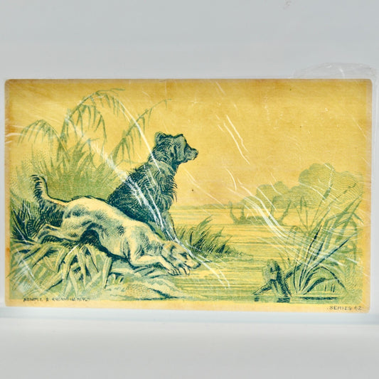 Wemple & Kronheim Antique Victorian Trade Card Dogs by Water