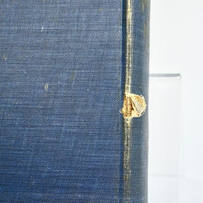 1901 Norge I Amerika America Martin Ulvestad Geneology Book Antique