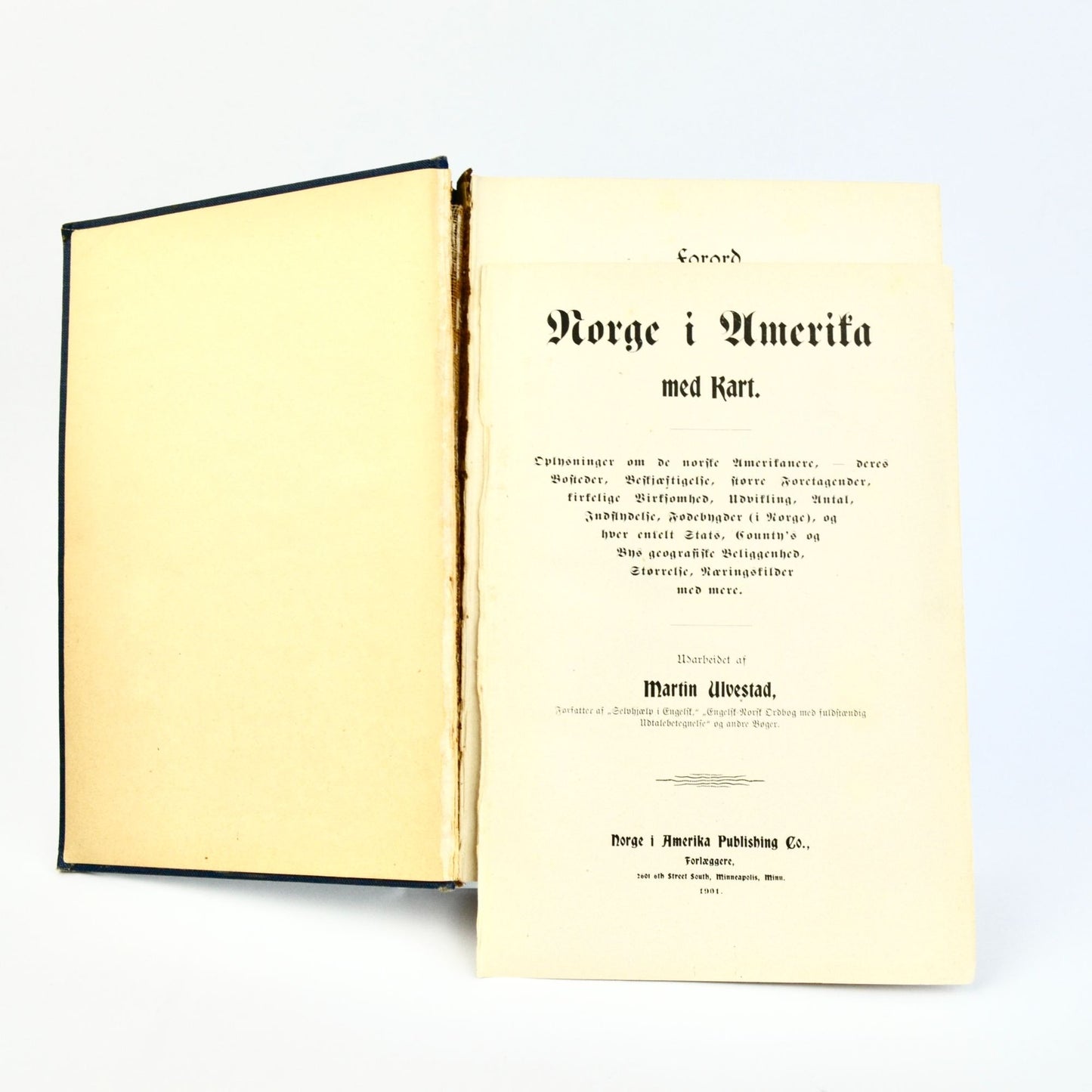 1901 Norge I Amerika America Martin Ulvestad Geneology Book Antique