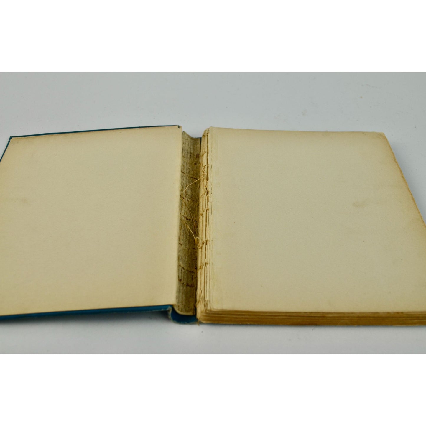 1903 Brevities Lisle de Vaux Matthewman Clare Victor Dwiggins Book