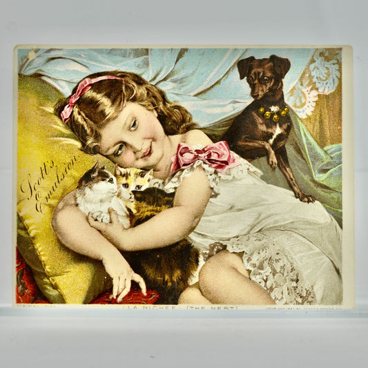Scott's Emulsion 1887 Antique Victorian Trade Card The Little Pets