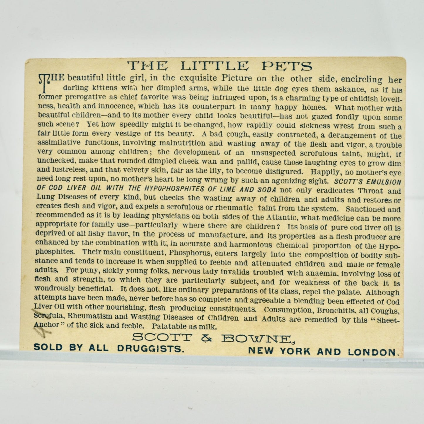 Scott's Emulsion 1887 Antique Victorian Trade Card The Little Pets