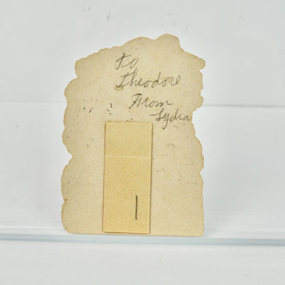 Vintage Valentine Card Boy Wheelbarrow Roses