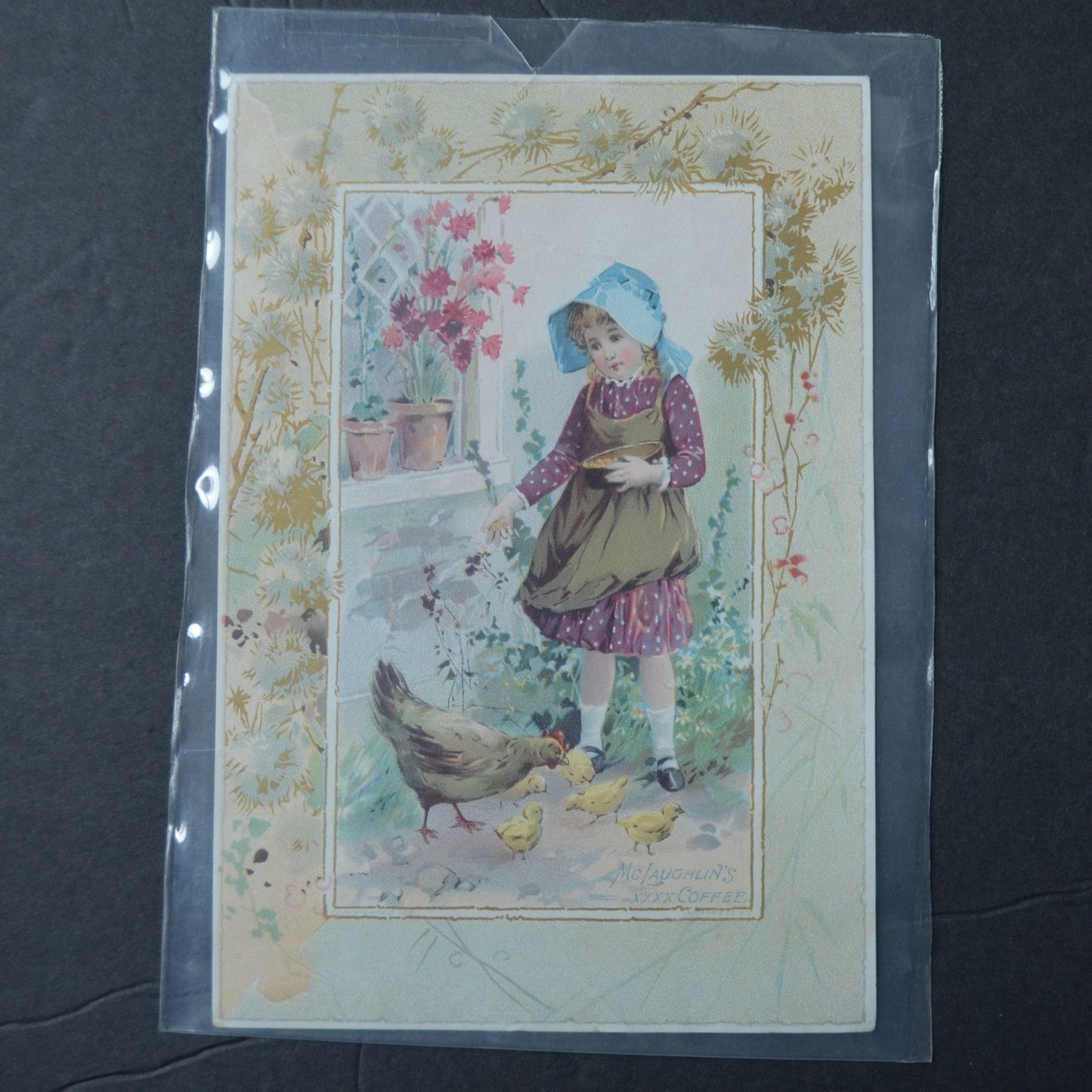 McLaughlin's XXXX Coffee Victorian Trading Card LARGE 1891 Girl with Chickens
