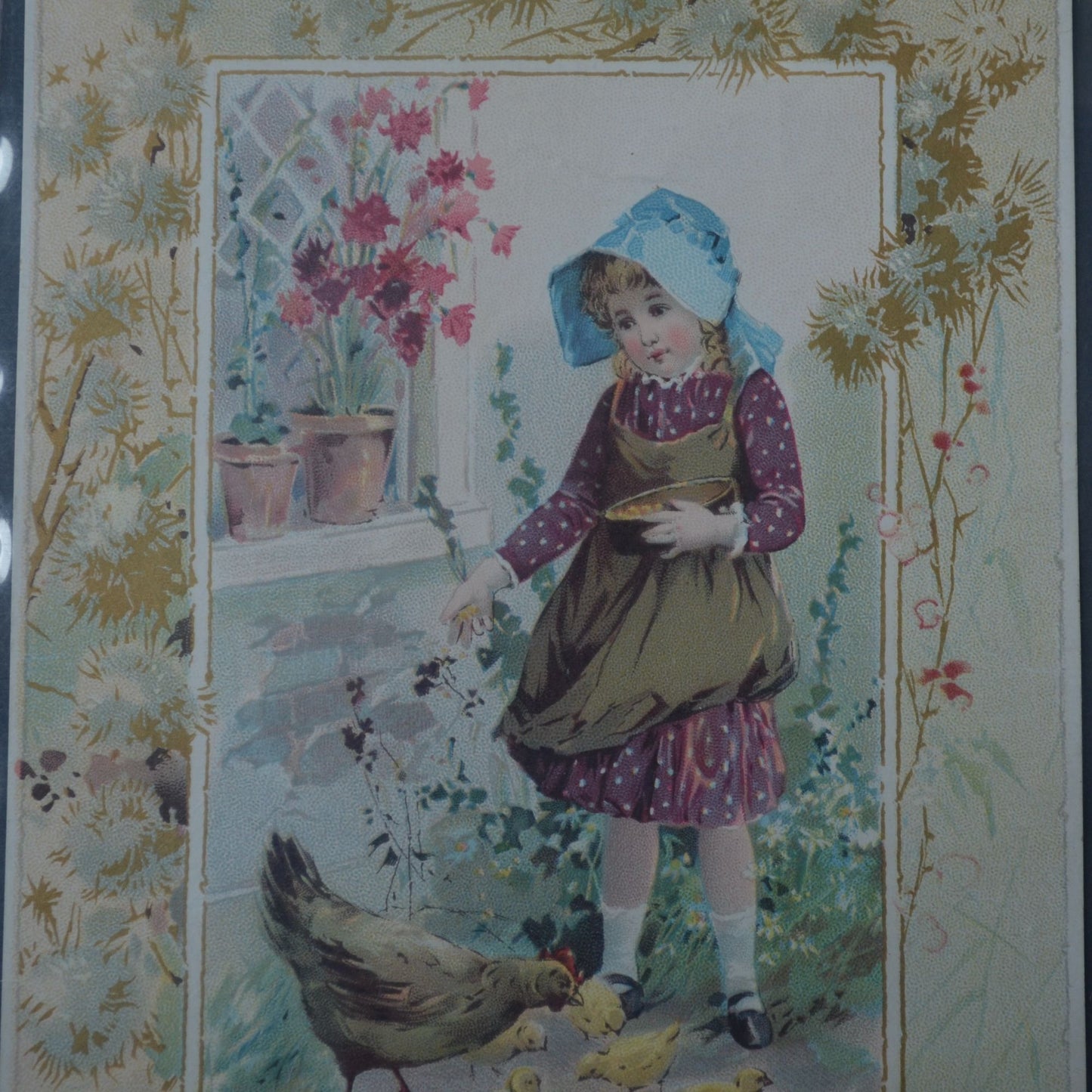 McLaughlin's XXXX Coffee Victorian Trading Card LARGE 1891 Girl with Chickens