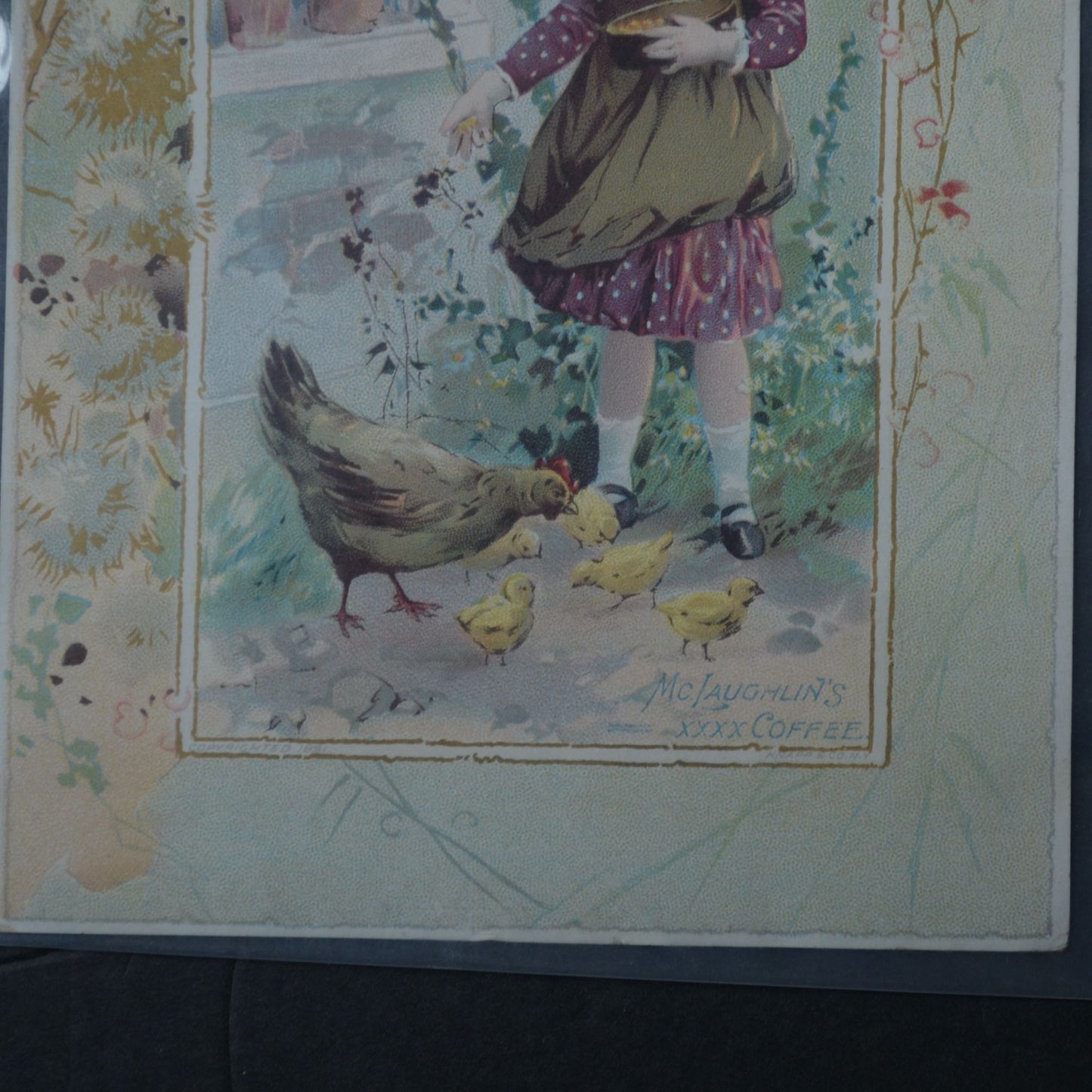 McLaughlin's XXXX Coffee Victorian Trading Card LARGE 1891 Girl with Chickens