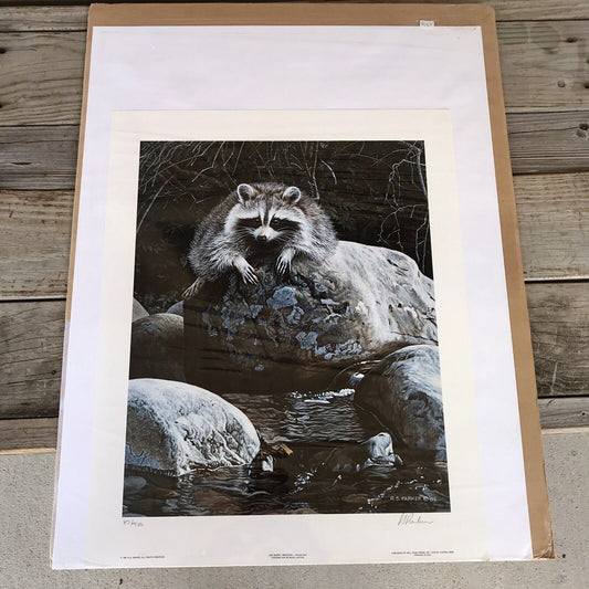 Vintage “Low Water Raccoon” Print SIGNED & NUMBERED by R.S. Parker 1986 SEALED!