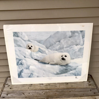Charles Frace "Peace on Ice" Hand Signed & Numbered Print Autographed Harp Seals