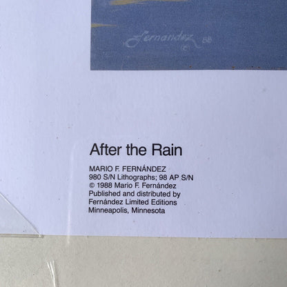 SIGNED Vintage Print: After The Rain by Mario Fernandez Limited Edition NOS