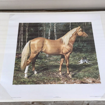 Carl Brenders BLONDE BEAUTY Horse Print Signed & Numbered Vintage SEALED!