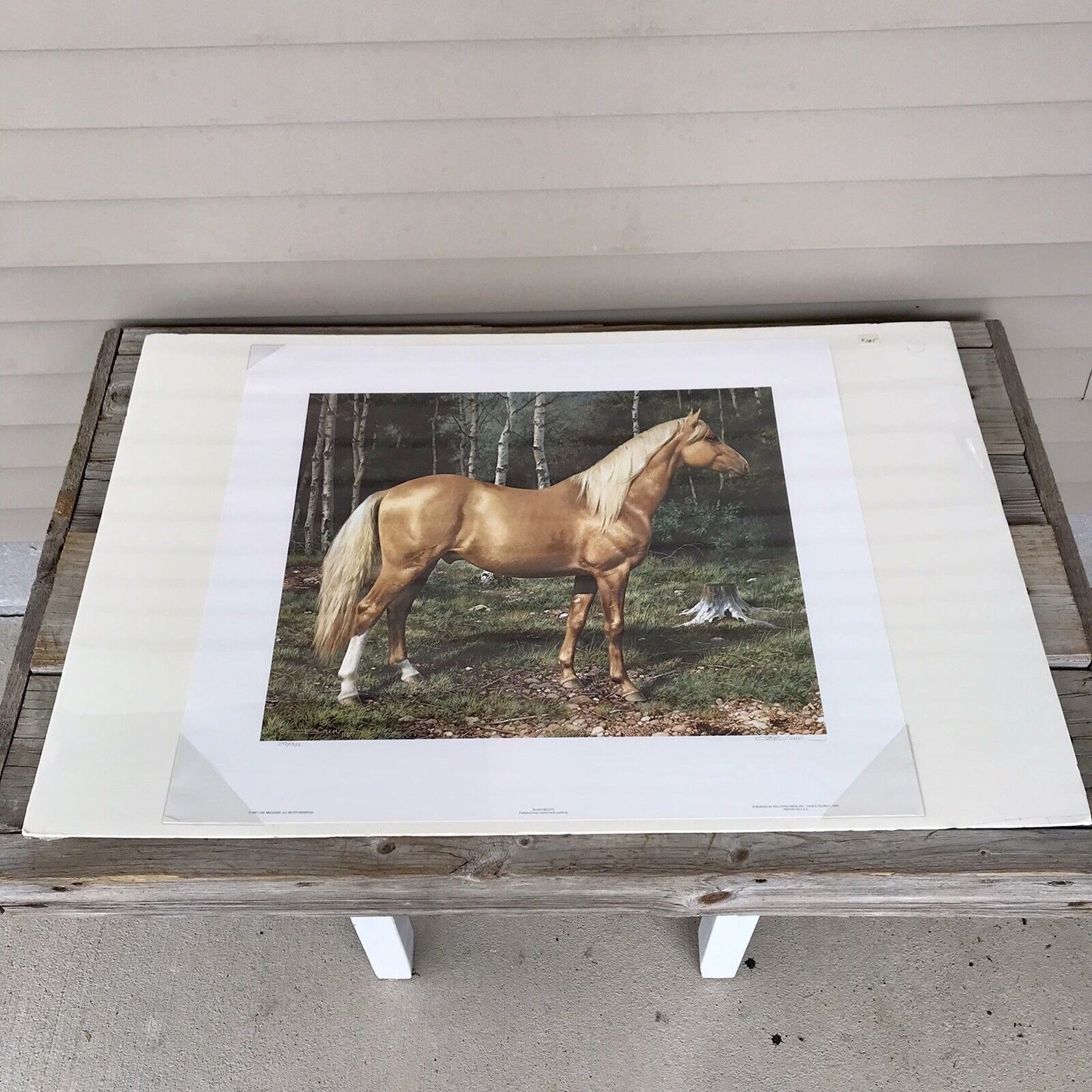 Carl Brenders BLONDE BEAUTY Horse Print Signed & Numbered Vintage SEALED!