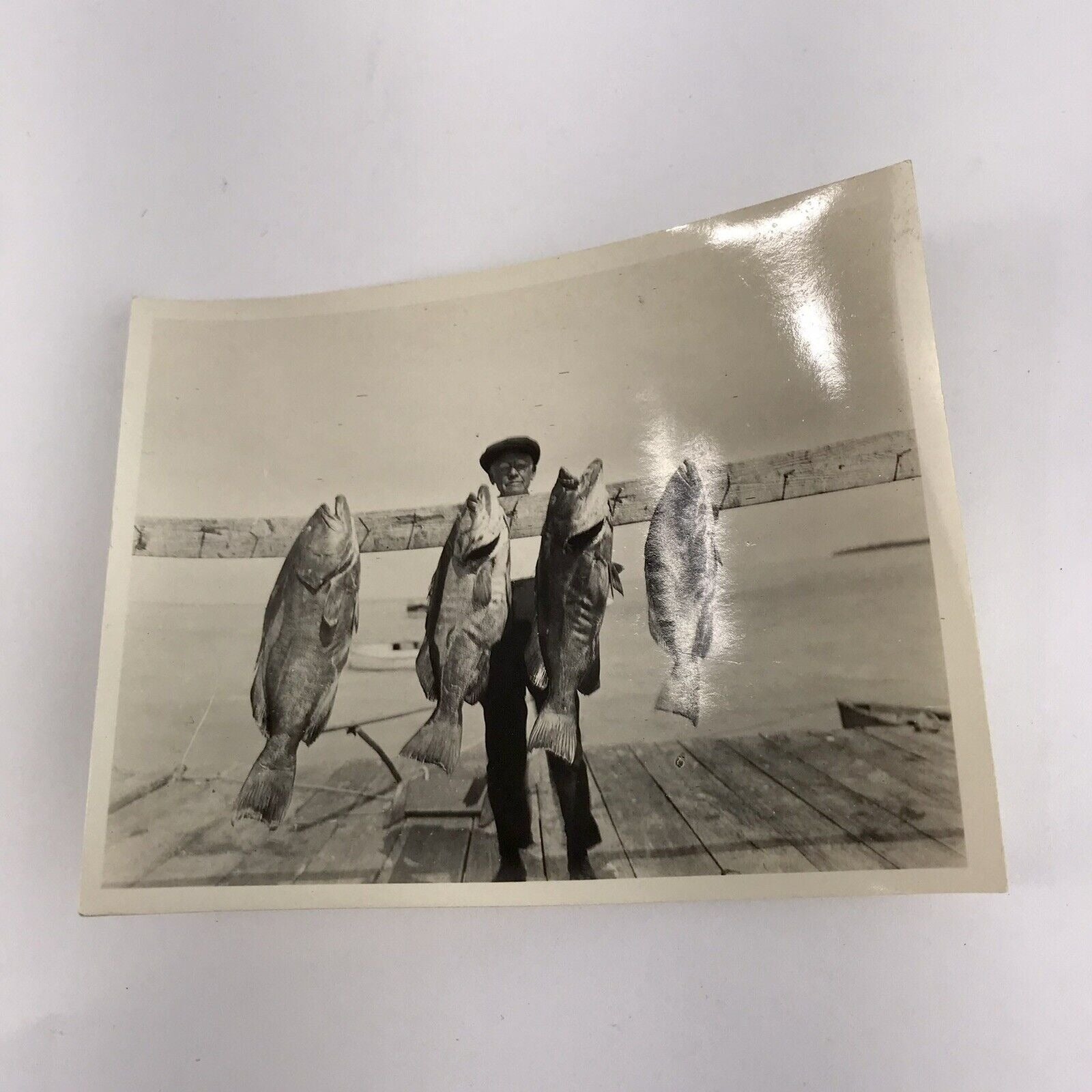 Lot 4 Vintage Saltwater Fishing Photos 1927? Swordfish Marlin