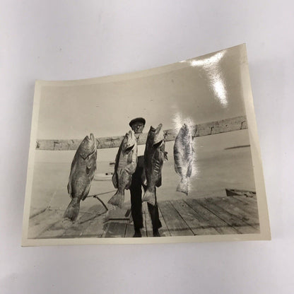 Lot 4 Vintage Saltwater Fishing Photos 1927? Swordfish Marlin Grouper Antique