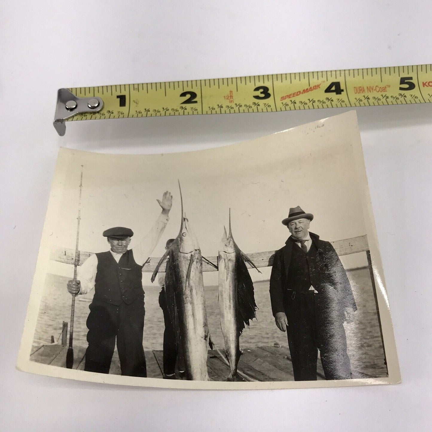 Lot 4 Vintage Saltwater Fishing Photos 1927? Swordfish Marlin Grouper –  Sunrise Pickers