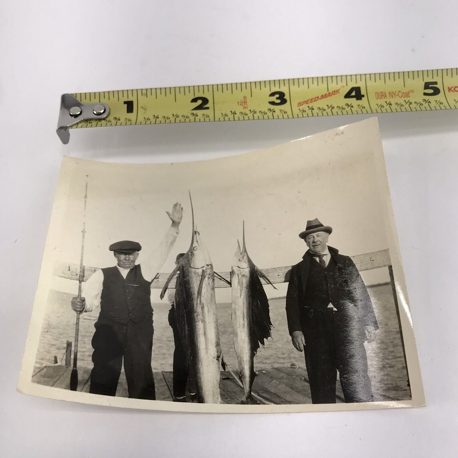 Lot 4 Vintage Saltwater Fishing Photos 1927? Swordfish Marlin